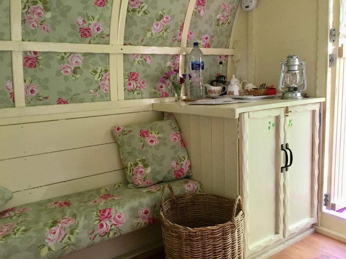 Fernwood Bed & Breakfast Ringwood Luaran gambar