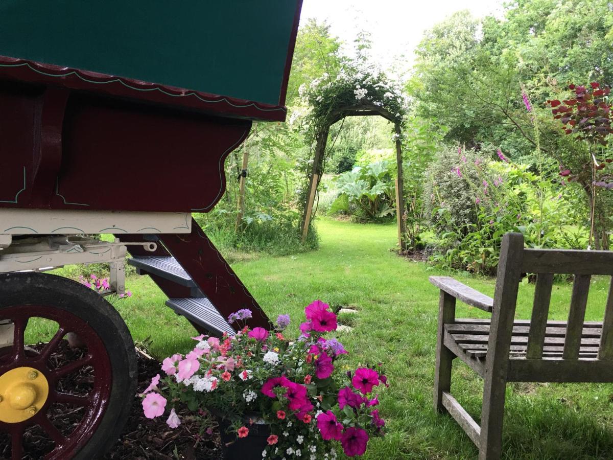 Fernwood Bed & Breakfast Ringwood Luaran gambar