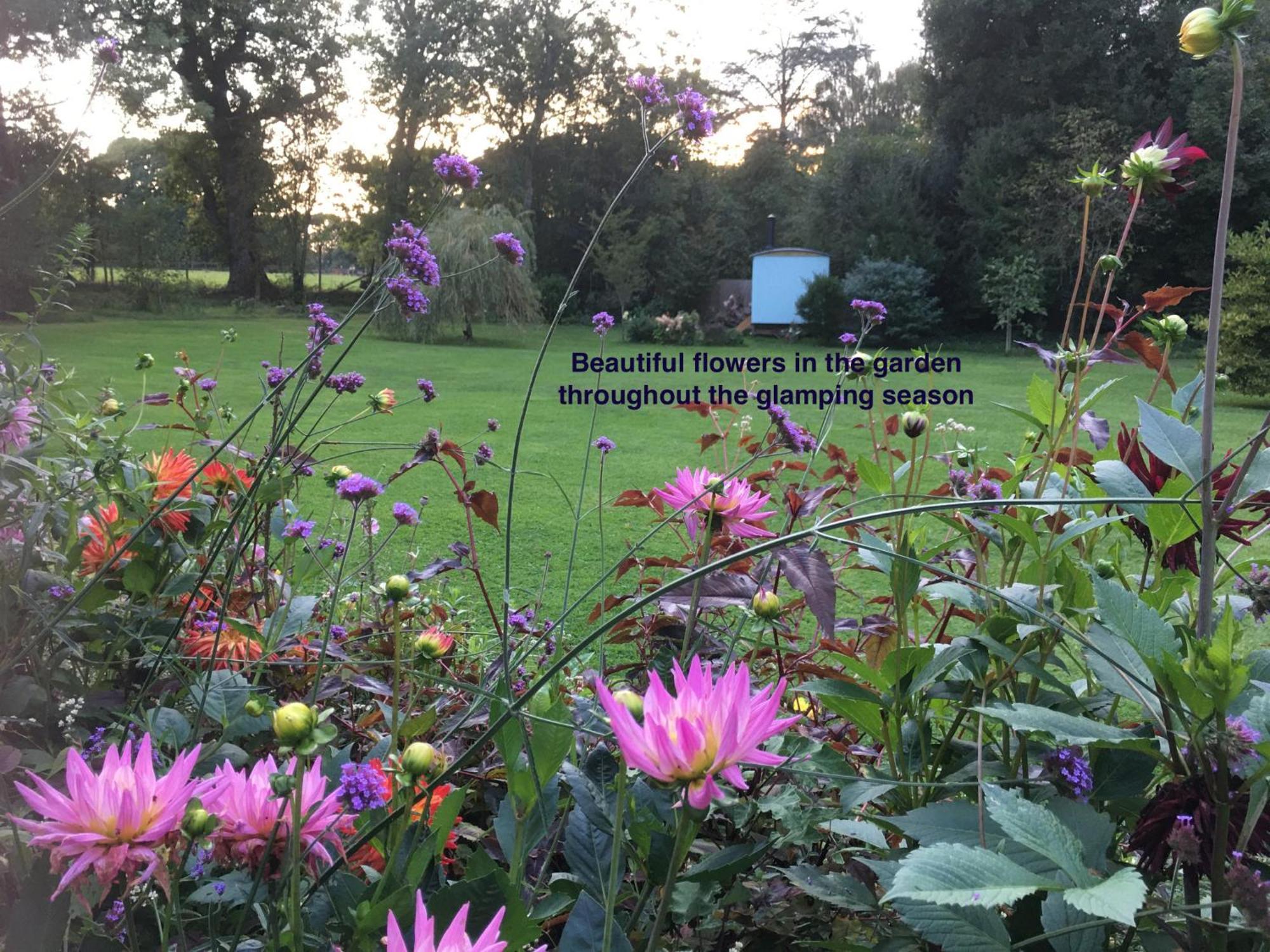 Fernwood Bed & Breakfast Ringwood Luaran gambar